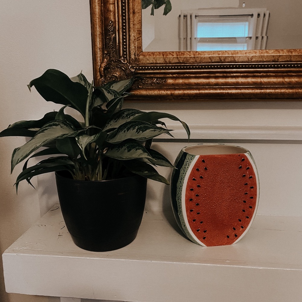 Watermelon vase